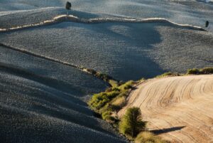 Gallery “Tuscany Landscapes”